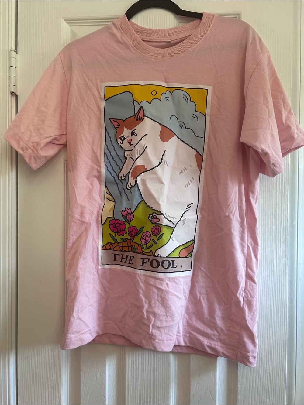 Chonky Goods Sad Cat Meme Tarot The Fool Pink T-Shirt Large